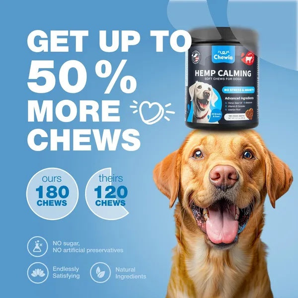 Hemp Calming Chews for Dogs – Natural Anxiety & Stress Relief Treats