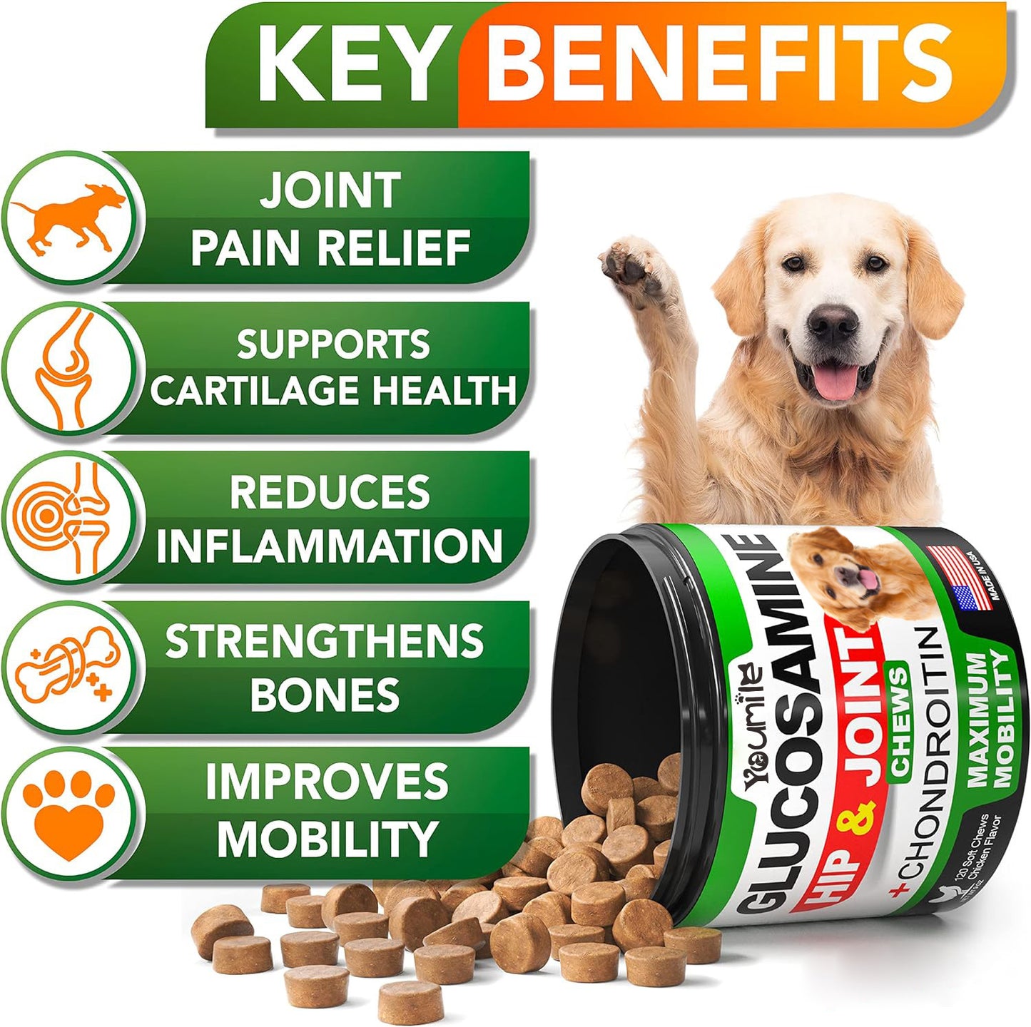 Pet Hip & Joint Supplement Chondroitin - PulsePrime