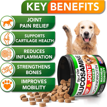 Pet Hip & Joint Supplement Chondroitin - PulsePrime