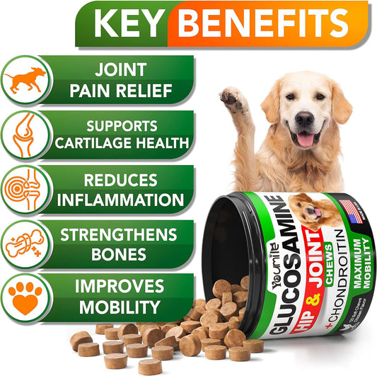Pet Hip & Joint Supplement Chondroitin - PulsePrime