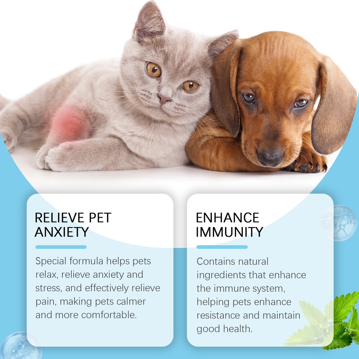 Pet Care Drops Enhance Immunity Dog Nutrition Supplement For Cats