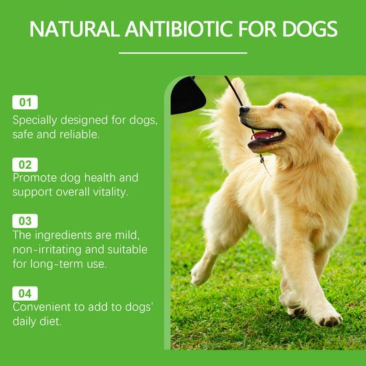 Dietary Supplements For Pets And Dogs - PulsePrime