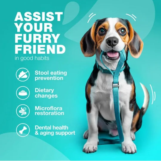 No Poo Chews for Dogs – Coprophagia & Stool Eating Deterrent with Probiotics