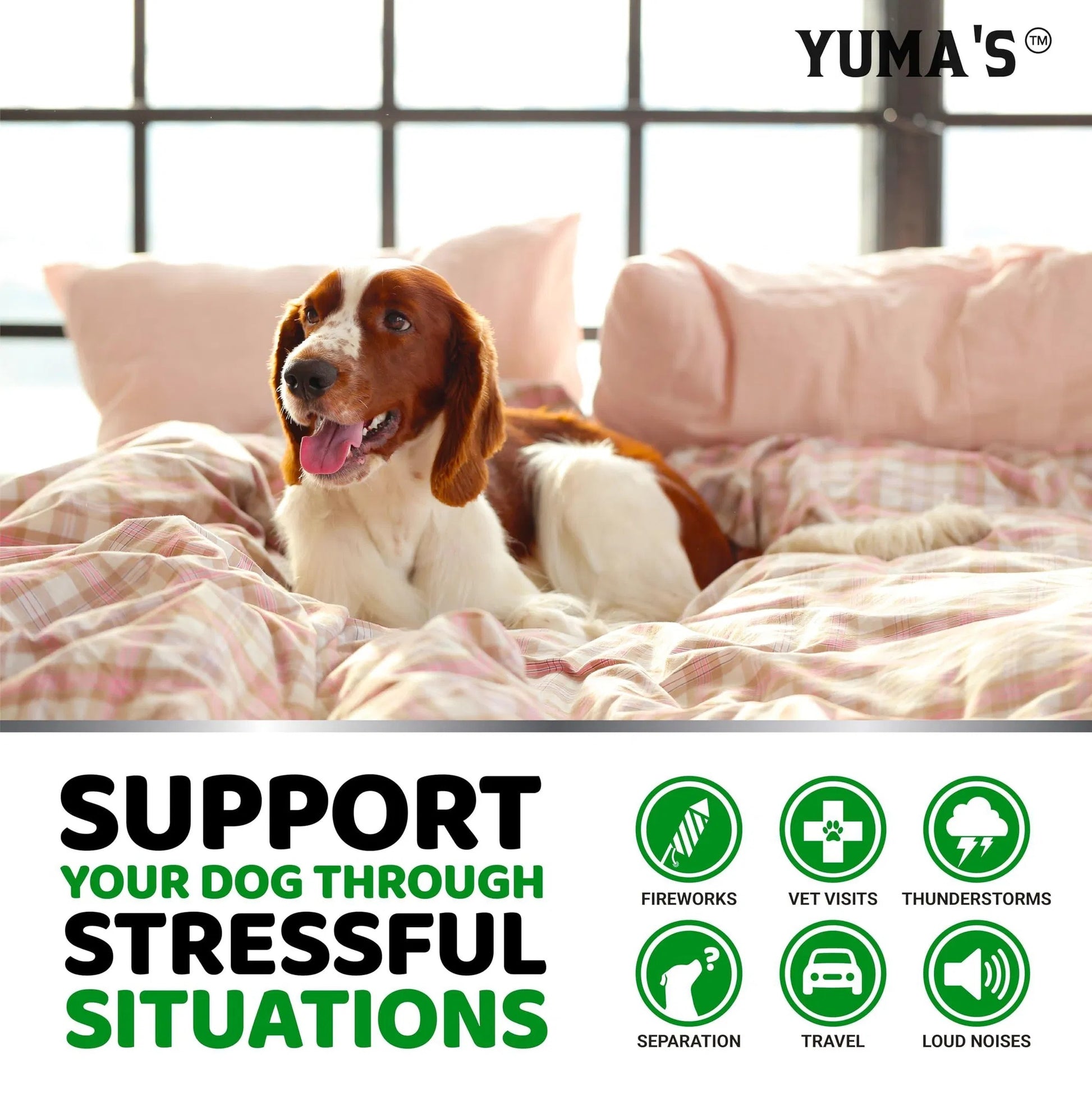 Do Not Sell On Amazon Hemp Calming Chews For Dogs Advanced Dog Calming Treats 170 Chews Anxiety Relief Separation Aid Barking Stress Relief Thunderstorms Melatonin Hemp Oil