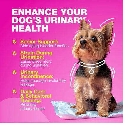 Dog UTI Treatment – Cranberry Supplement for Bladder & Kidney Health