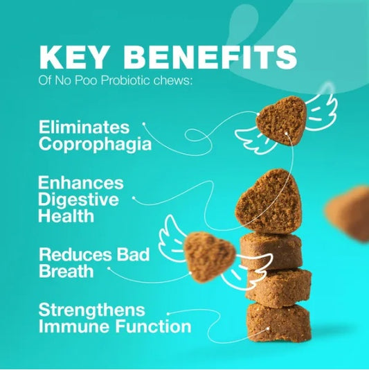 No Poo Chews for Dogs – Coprophagia & Stool Eating Deterrent with Probiotics