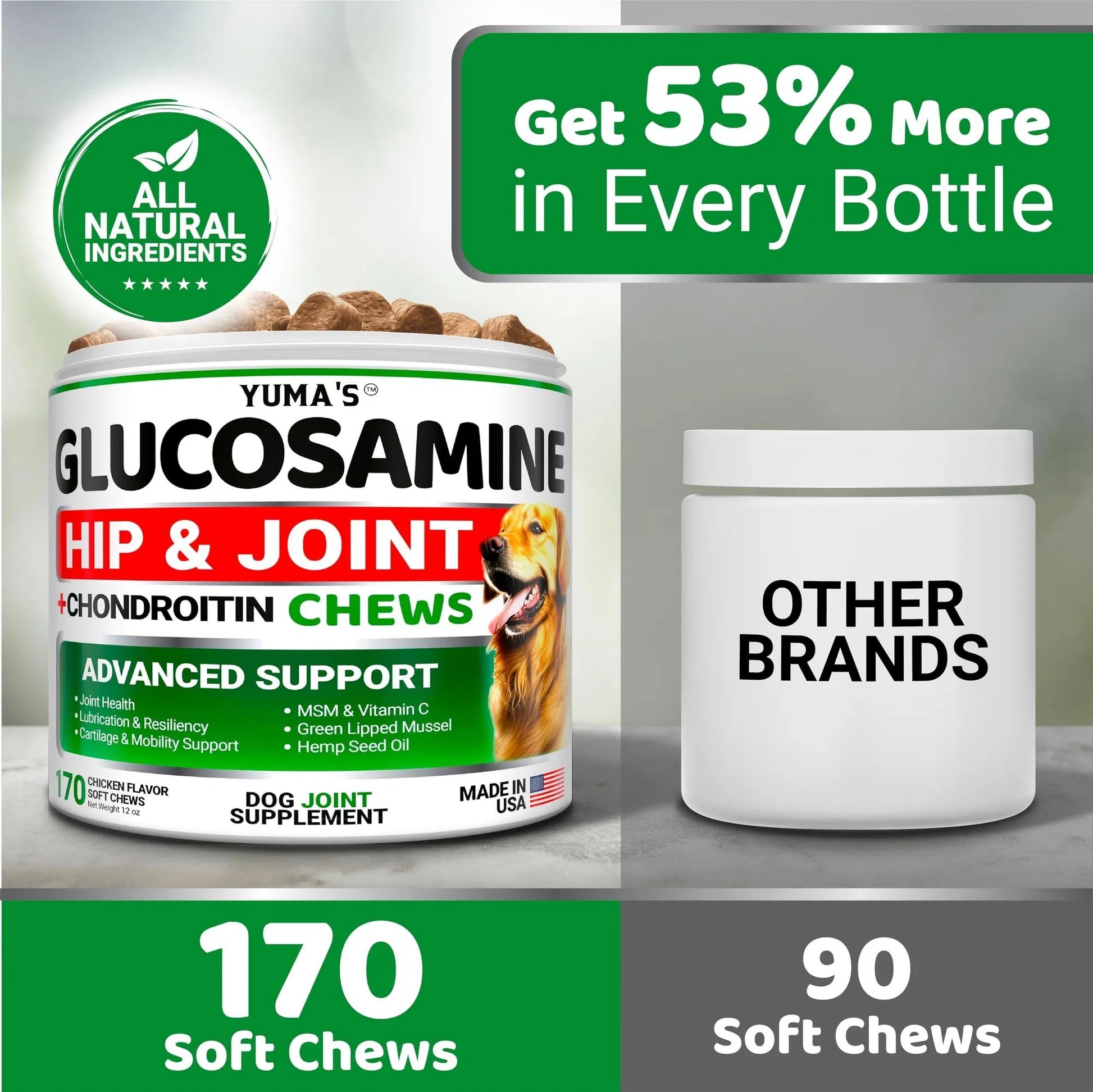 Do Not Sell On Amazon Glucosamine For Dogs Hip And Joint Supplement For Dogs 170 Ct Glucosamine Chondroitin For Dogs Chews Dog Joint Pain Relief With MSM Advanced Dog Joint Supplement Health