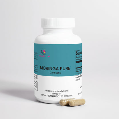 Premium Moringa Powder – Nutrient-Rich Superfood for Energy & Wellness