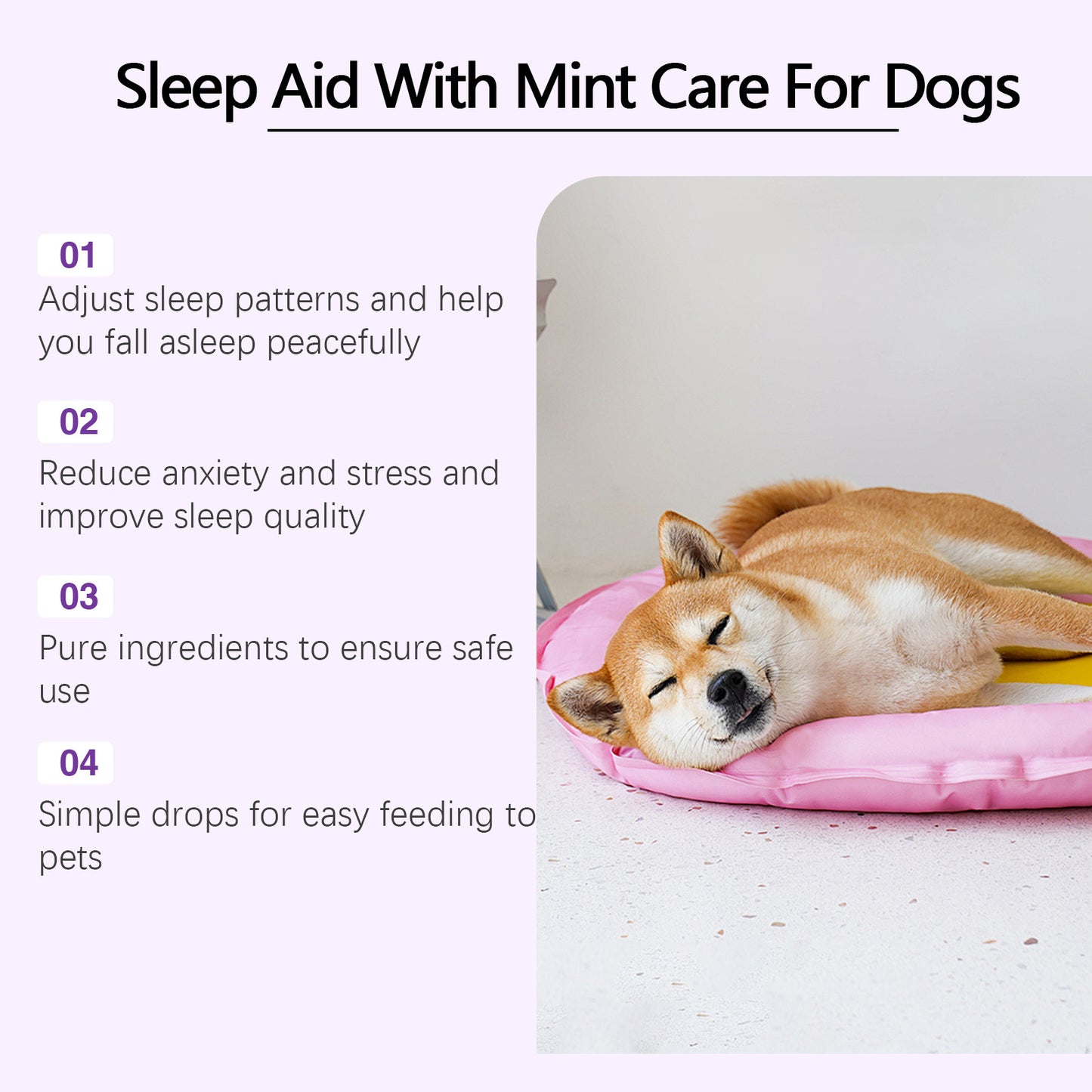 Dog Sleep Drops Care For Night Sleep - PulsePrime