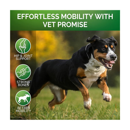Pet Hip & Joint Supplement Chondroitin - PulsePrime