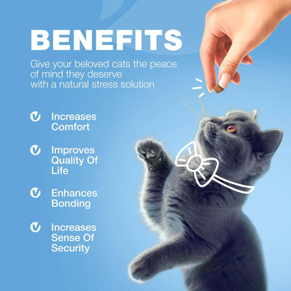 Cat Calming Treats Hemp Calming Care For Cats Cat Melatonin Soft Chews With Hemp Seed Oil And Probiotics Cat Anxiety Relief Storms Travel Grooming Separation Calming Chews For Cats - PulsePrime