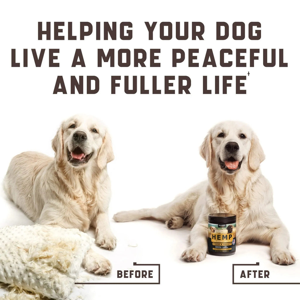 Natural Calming Chews For Dogs With Hemp Oil And Valerian Root Peanut Butter Flavor 180 Chews