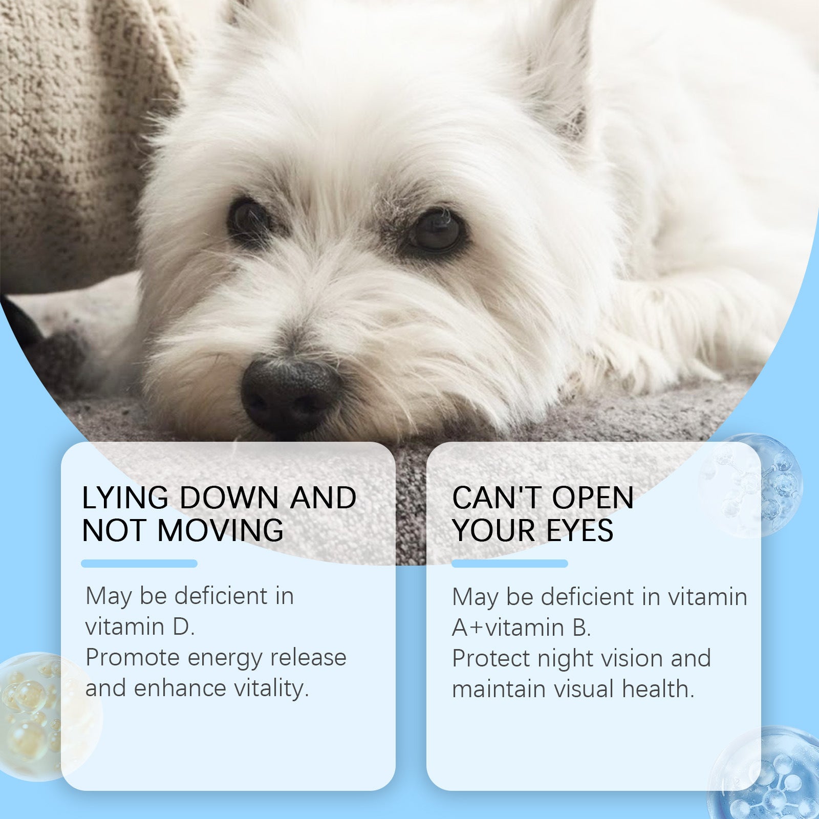 Yegbong For Dogs Multivitamin Tablet For Cats Dog Pet