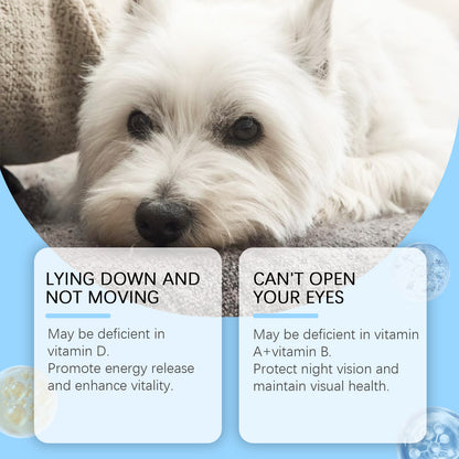 Yegbong For Dogs Multivitamin Tablet For Cats Dog Pet - PulsePrime