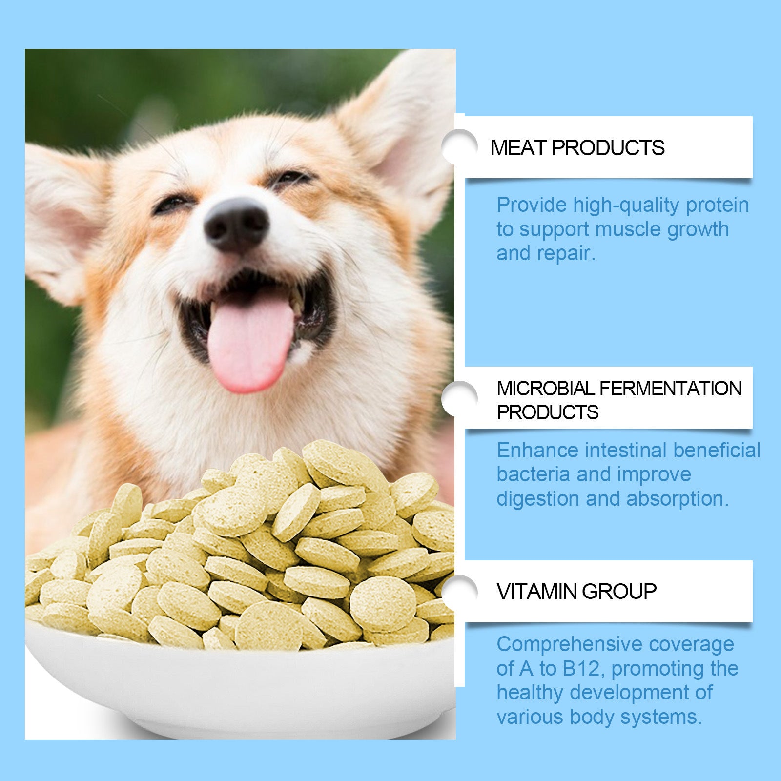 Yegbong For Dogs Multivitamin Tablet For Cats Dog Pet