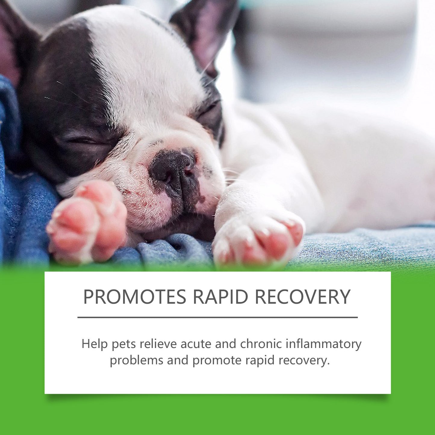 Dietary Supplements For Pets And Dogs - PulsePrime