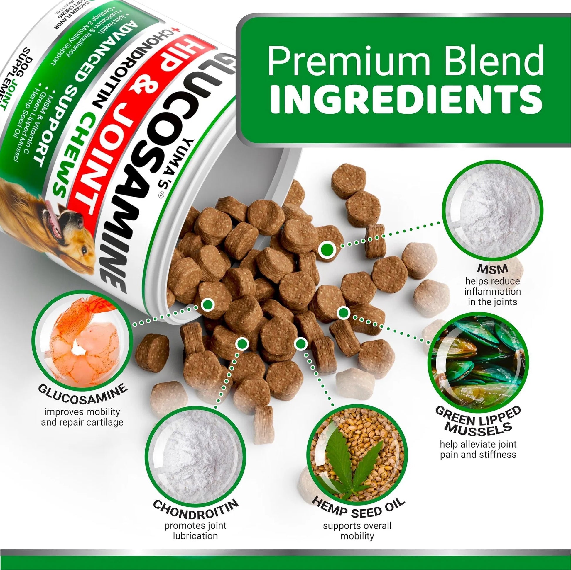 Do Not Sell On Amazon Glucosamine For Dogs Hip And Joint Supplement For Dogs 170 Ct Glucosamine Chondroitin For Dogs Chews Dog Joint Pain Relief With MSM Advanced Dog Joint Supplement Health
