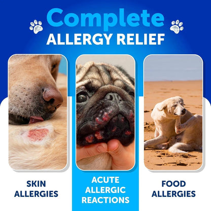 Dog Allergy Relief Chews – Itch & Skin Support with Fish Oil, 180 Soft Treats