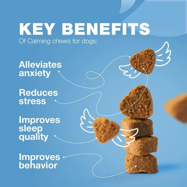 Hemp Calming Chews for Dogs – Natural Anxiety & Stress Relief Treats