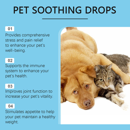 Pet Care Drops Enhance Immunity Dog Nutrition Supplement For Cats