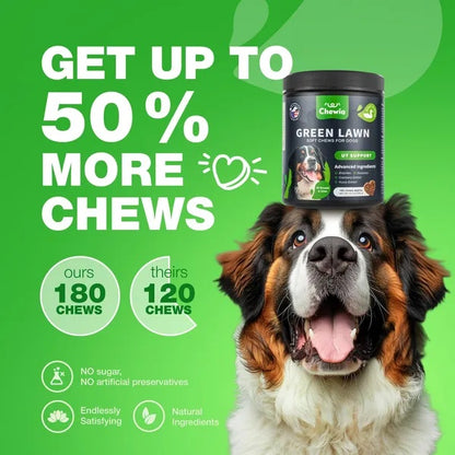 Grass Burn Spot Chews for Dogs – Urine Neutralizer & Lawn Protection Supplement