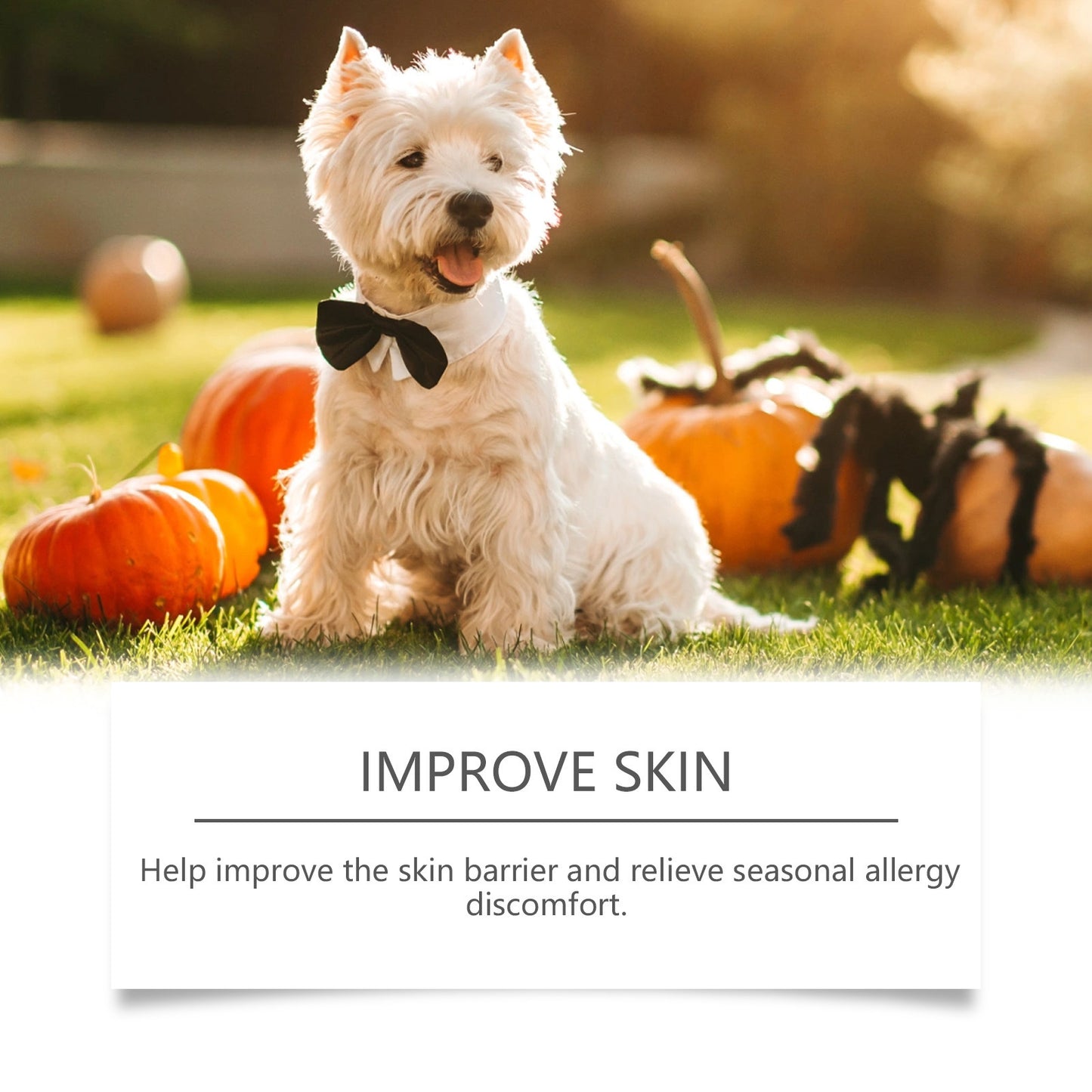 Allergy Relief Immune Chews - PulsePrime